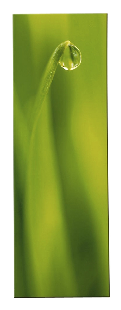 Magic Green Tautropfen Bild - Kasper
