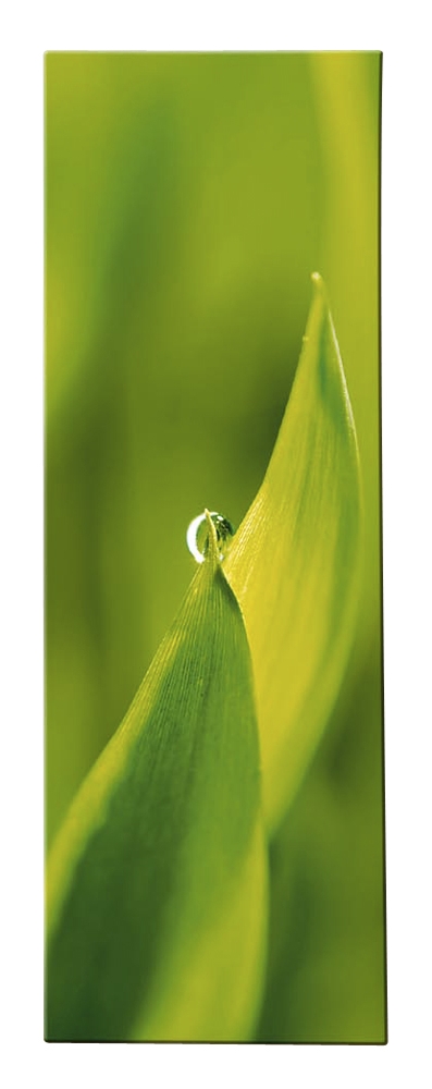 Magic Green Blattspitzen Bild - Kasper